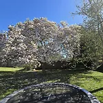 Ξενοδοχείο Solvang