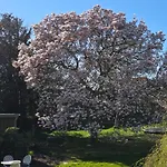 Solvang 아센스