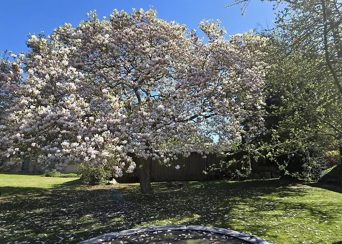 Ξενοδοχείο Solvang